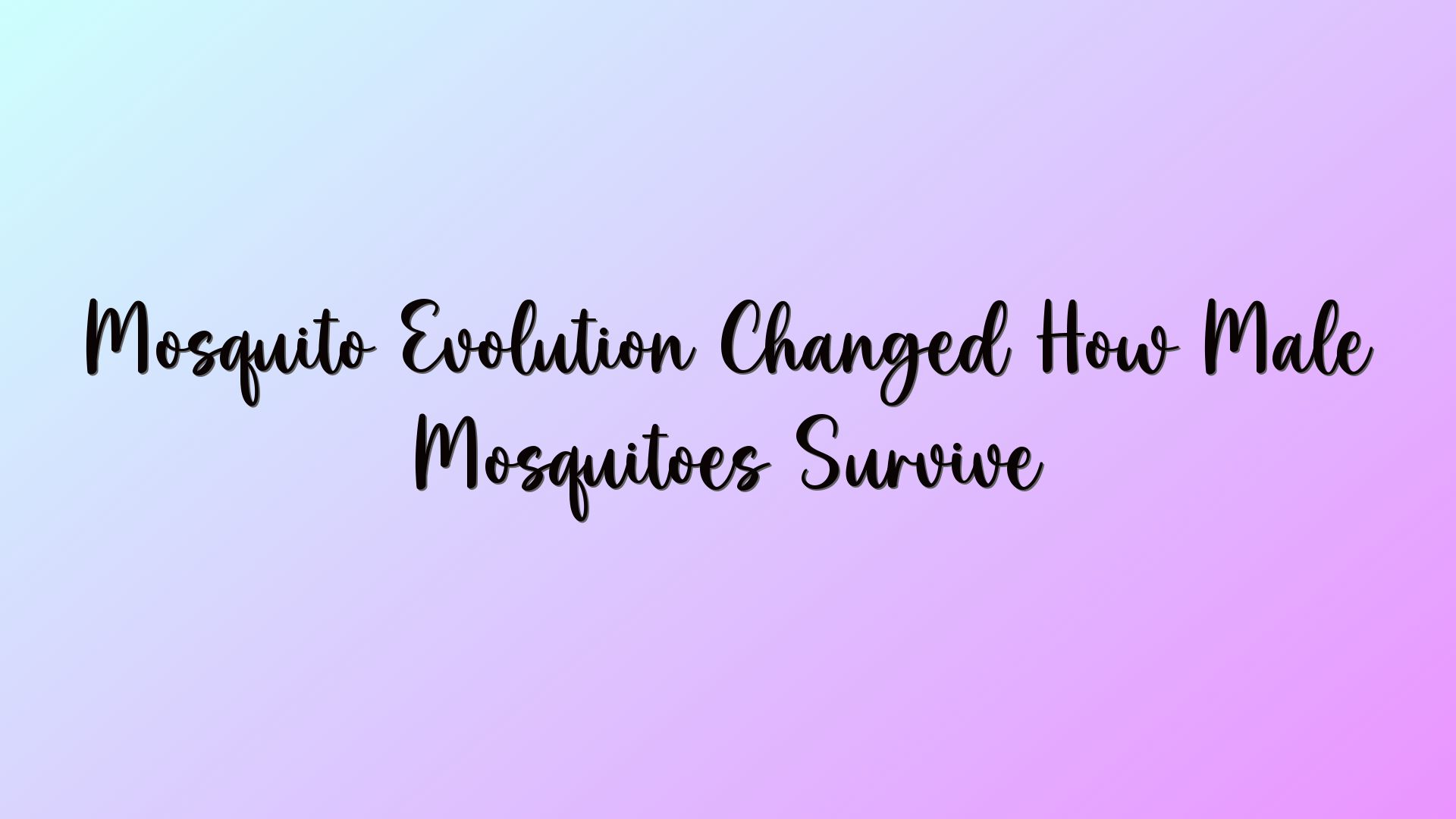 Mosquito Evolution Changed How Male Mosquitoes Survive